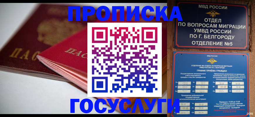 временная регистрация собственник в Геленджике
